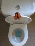 Toilet_Dive.gif
