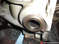 214f275ab88c65a.jpg 214f275ab88c65a.jpg