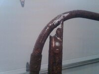 IMG01107-20121230-1318.jpg IMG01107-20121230-1318.jpg