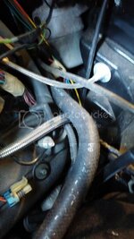 1109132055_zps8e125cb8.jpg 1109132055_zps8e125cb8.jpg