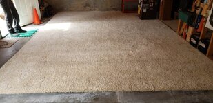 Carpet.jpg