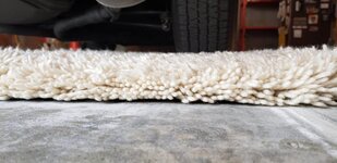 Carpet 2.jpg