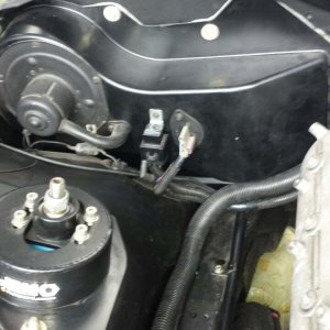 20150320_140832.jpg