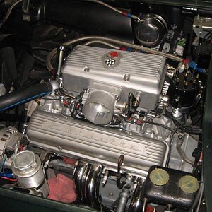 IMG_4231_small.jpg