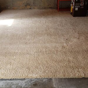 Carpet.jpg