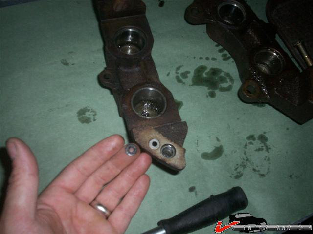 100_4421 (Small).JPG