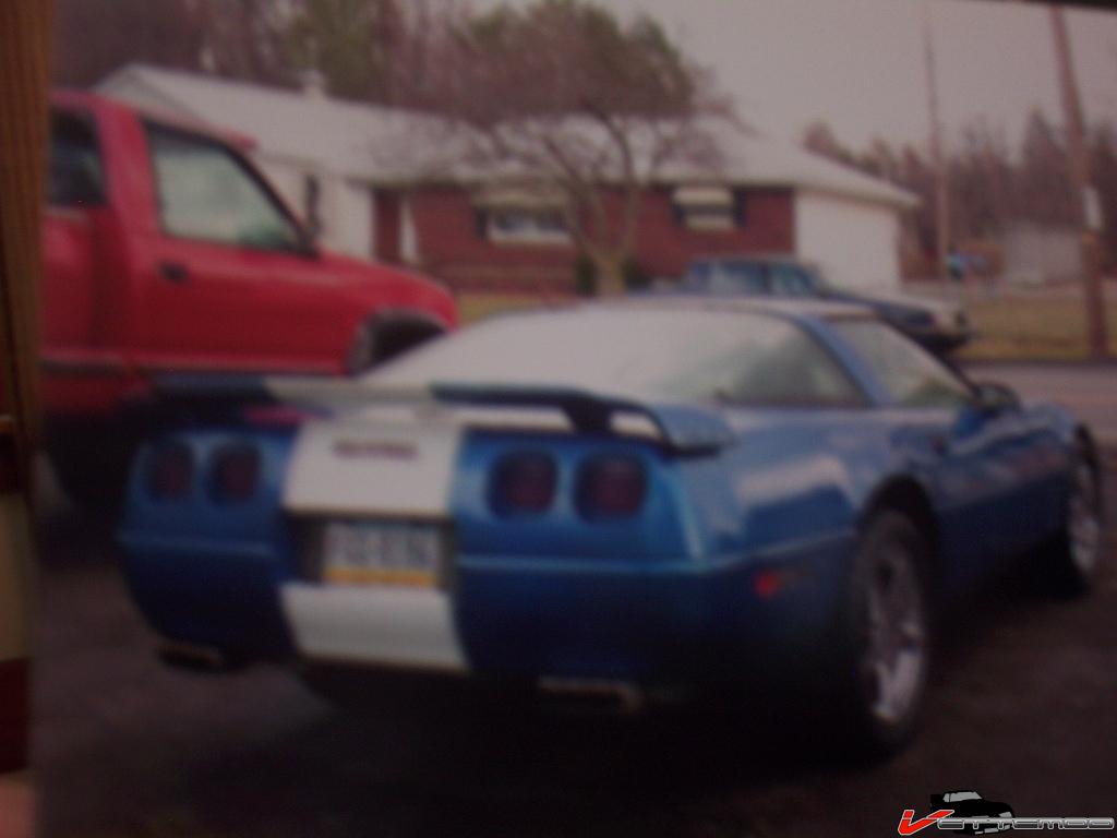 91 corvette 004.JPG