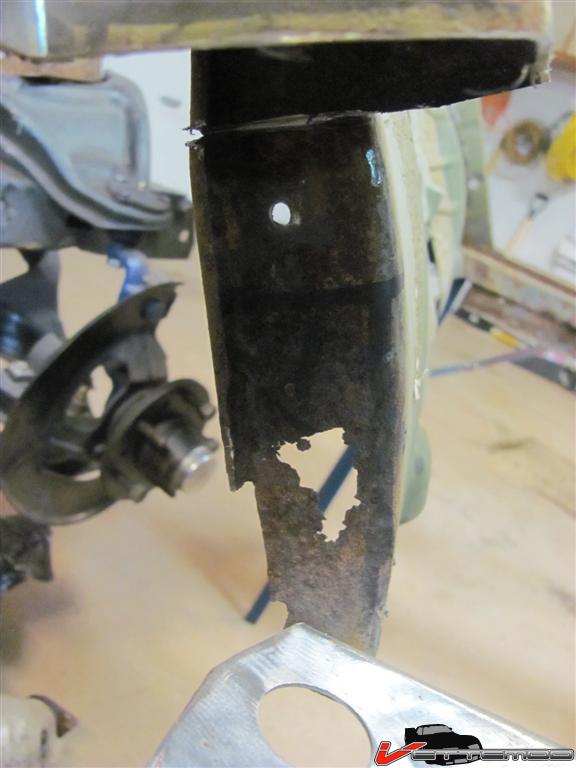 cancerous part (Large).JPG