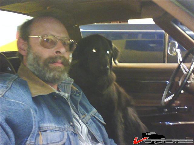 Designated driver Ace.jpg