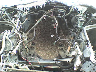 engine bay close up.JPG