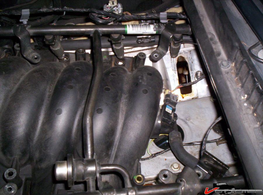 manifold back.jpg