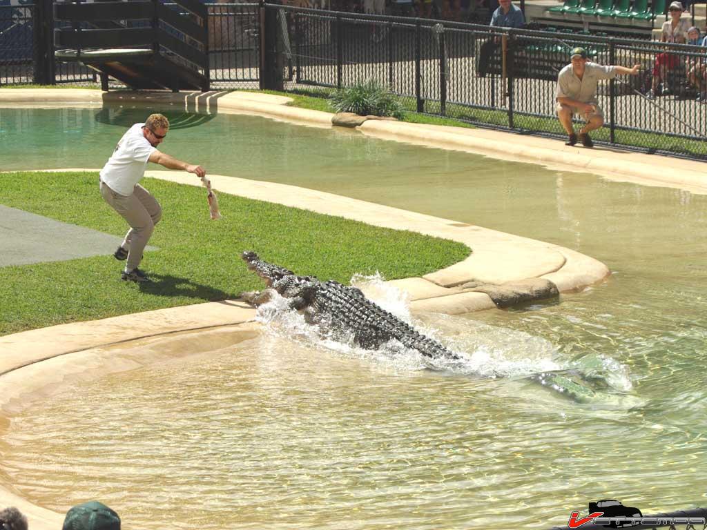 me feeding croc 1.jpg