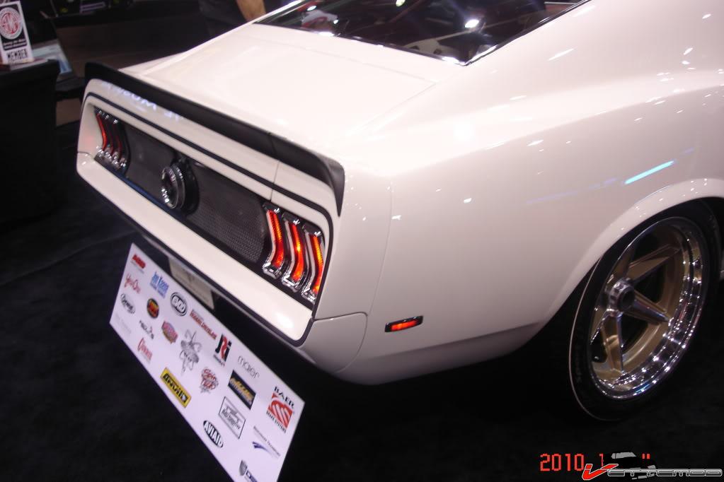 Mustang mesh rear 1.jpg