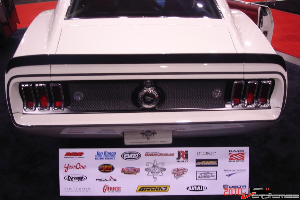 Mustang mesh rear 2.jpg