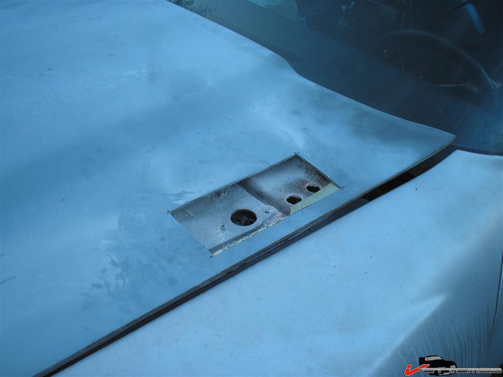 P1010001 (Large).JPG