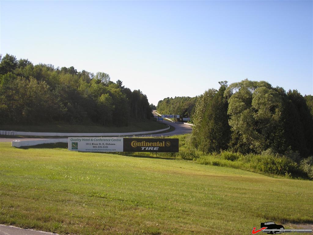 P1010030 (Large).JPG