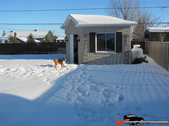 trop de neige (Small) 1.JPG